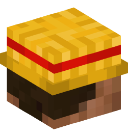 Minecraft head — People