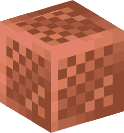 Minecraft head — Blocks