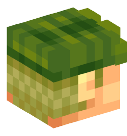 Minecraft head — People