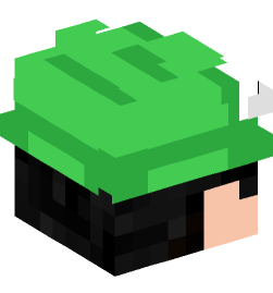 Minecraft head — People