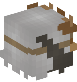 Minecraft head — People