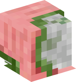 Minecraft head — Creatures