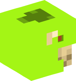 Minecraft head — Creatures