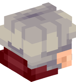 Minecraft head — People
