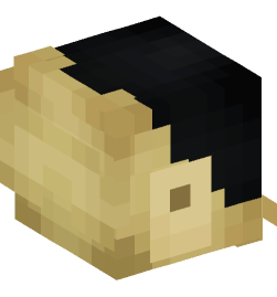 Minecraft head — People