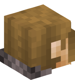 Minecraft head — People