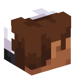 Minecraft head — People