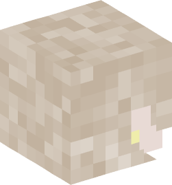 Minecraft head — People