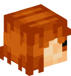 Minecraft head — People