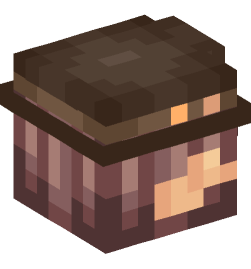 Minecraft head — People