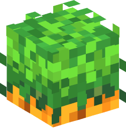 Minecraft head — Plants