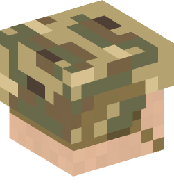 Minecraft head — People