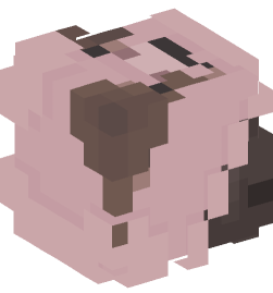 Minecraft head — People