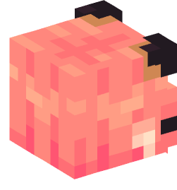 Minecraft head — Creatures