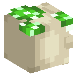 Minecraft head — Decor