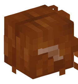 Minecraft head — Creatures