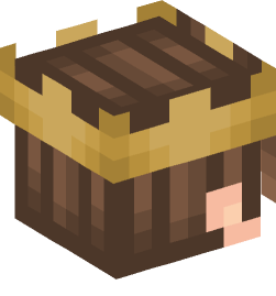 Minecraft head — People