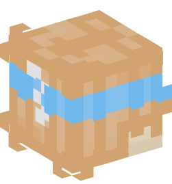 Minecraft head — People