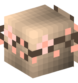 Minecraft head — People