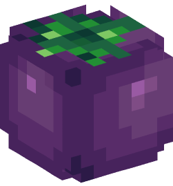 Minecraft head — People