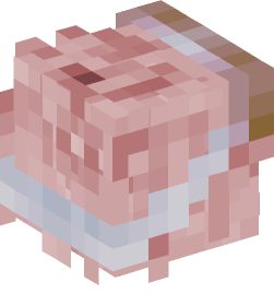 Minecraft head — People