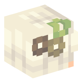 Minecraft head — People