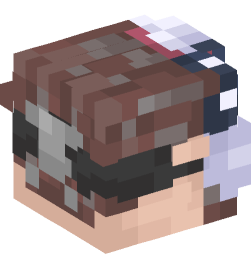 Minecraft head — People