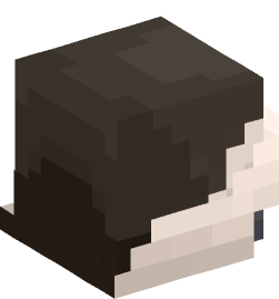 Minecraft head — People