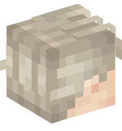 Minecraft head — People