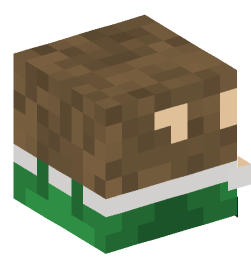 Minecraft head — Decor