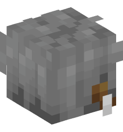 Minecraft head — People