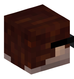 Minecraft head — People