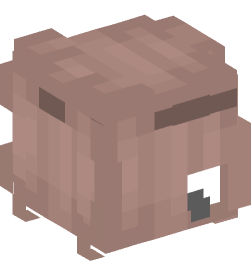 Minecraft head — People