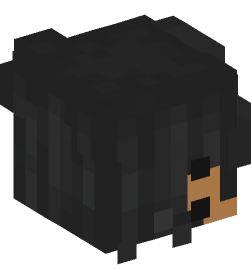 Minecraft head — People