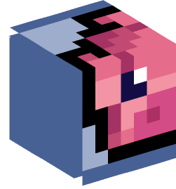 Minecraft head — Miscellaneous