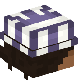 Minecraft head — People