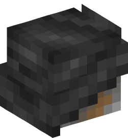 Minecraft head — People