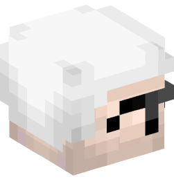 Minecraft head — People