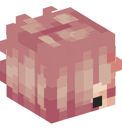 Minecraft head — Creatures