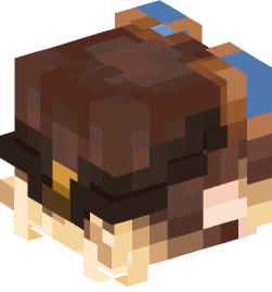 Minecraft head — People