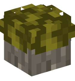 Minecraft head — Plants