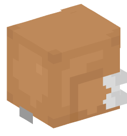 Minecraft head — People