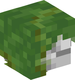 Minecraft head — Creatures