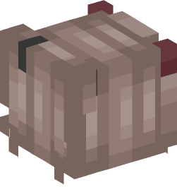Minecraft head — Creatures