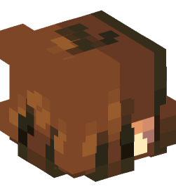 Minecraft head — People