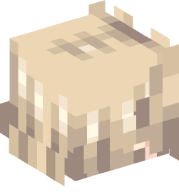 Minecraft head — People