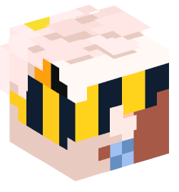 Minecraft head — People