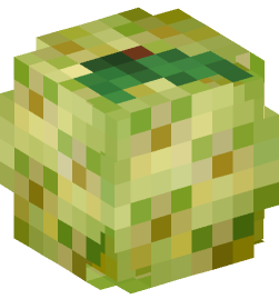 Minecraft head — Plants