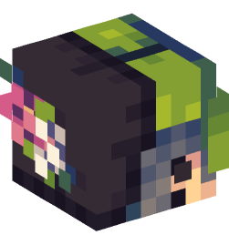 Minecraft head — People