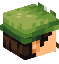 Minecraft head — People